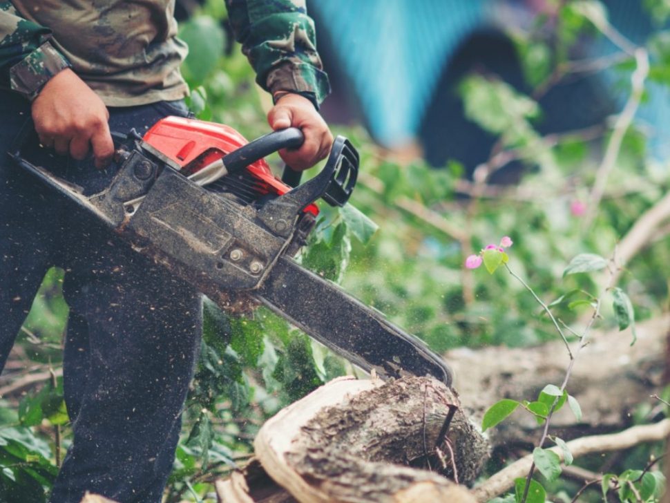 asian-man-cutting-trees-using-electrical-chainsaw-min
